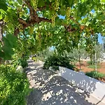 Mele Lido Marini
