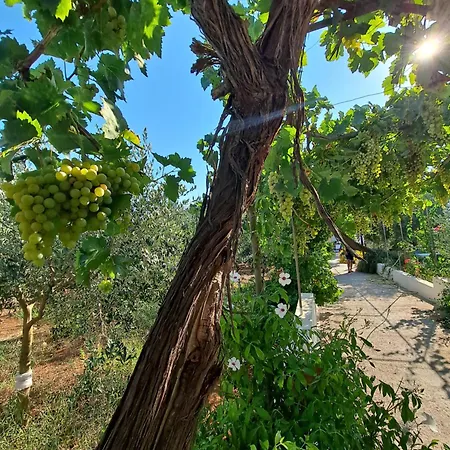 Holiday home Mele Lido Marini