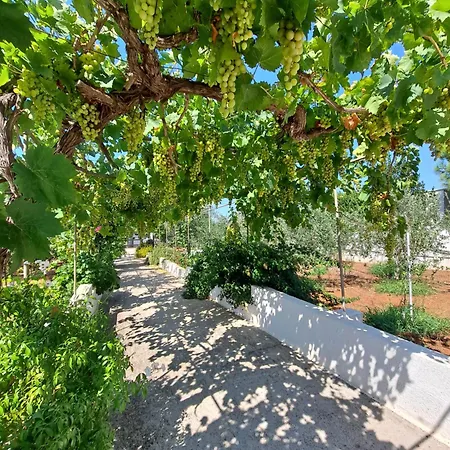 Mele 丽都玛里尼