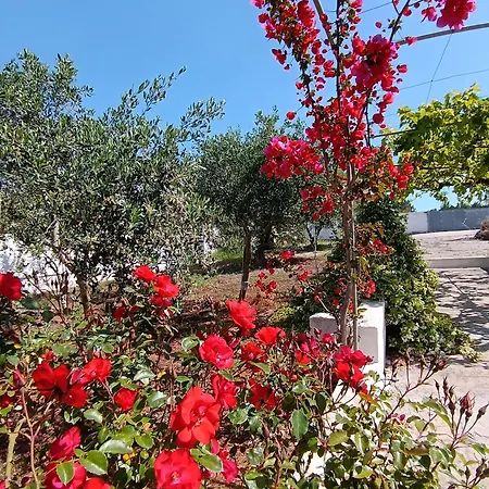 Mele Ferienhaus Lido Marini