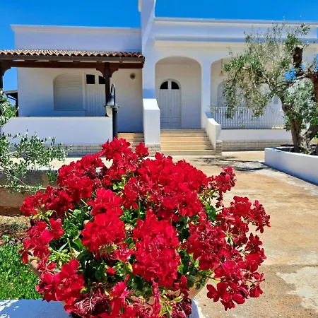 Dom wakacyjny Mele *