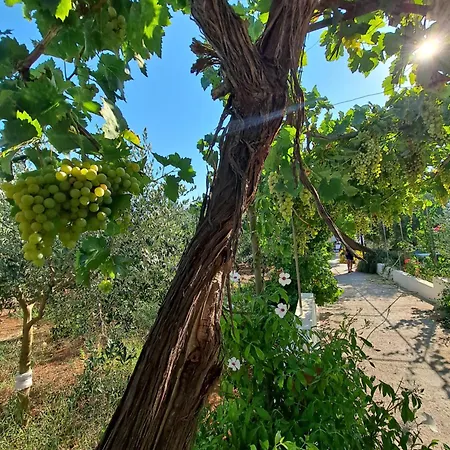 Hébergement de vacances Mele Lido Marini