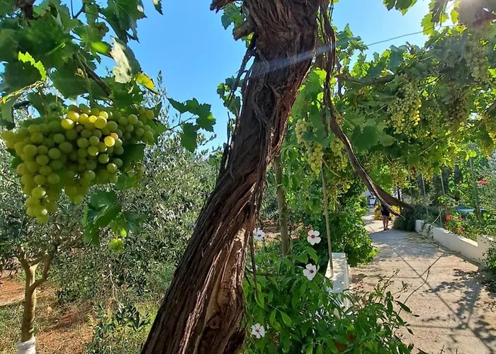 Ferienhaus Mele Lido Marini