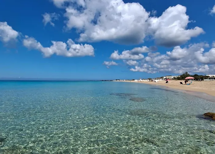 Mele * לידו מריני